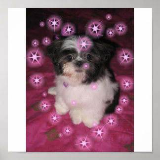 子犬の愛 – ポスター