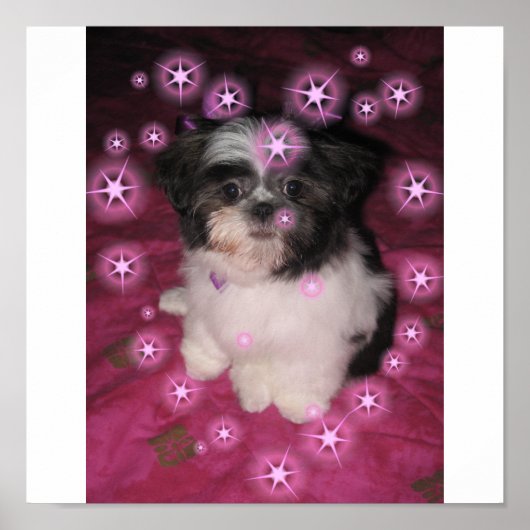 子犬の愛 – ポスター (正面)