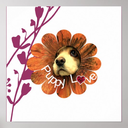 子犬の愛 ポスター (正面)
