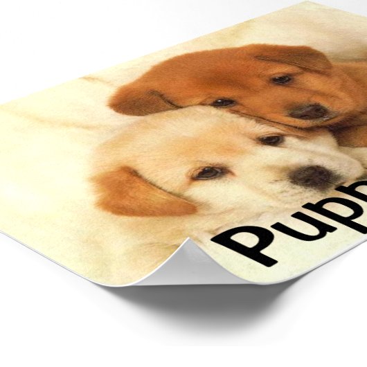 子犬の愛 ポスター (角)