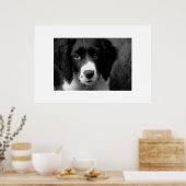 子犬の愛 ポスター (キッチン)