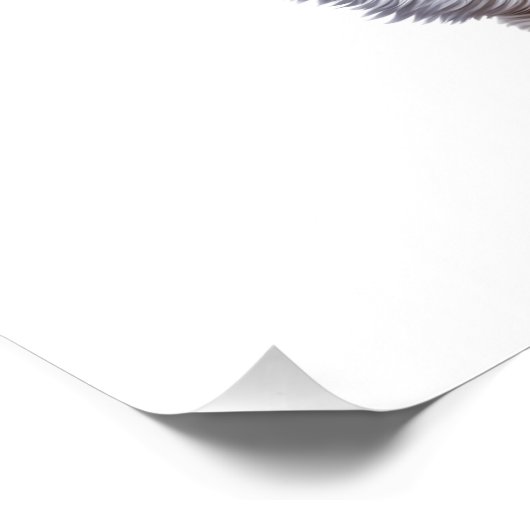 子犬の愛 ポスター (コーナー)