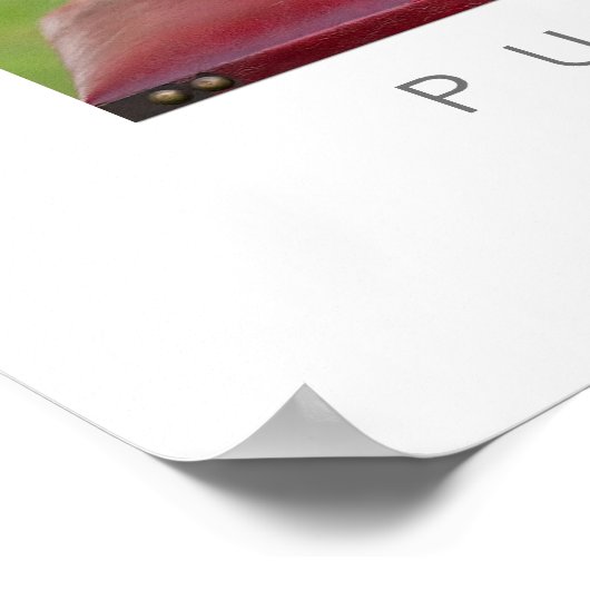 子犬の愛 ポスター (角)