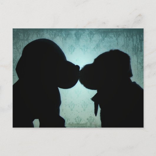 子犬の愛 ポストカード (正面)