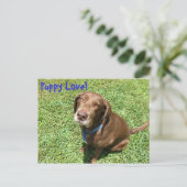 子犬の愛！ ポストカード (スタンド正面)