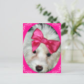 子犬の愛_ ポストカード (スタンド正面)