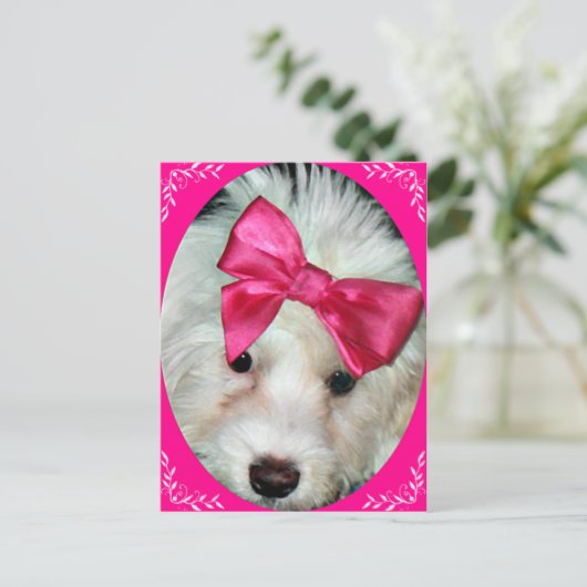 子犬の愛_ ポストカード (スタンド正面)