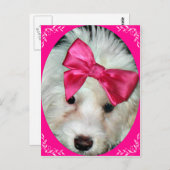 子犬の愛_ ポストカード (正面/裏面)