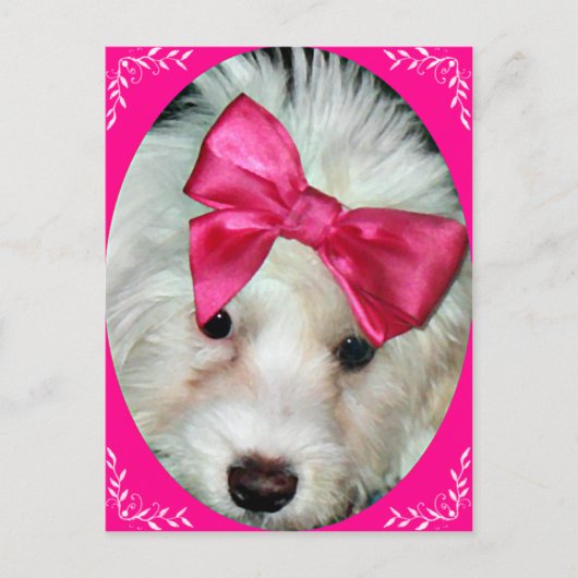 子犬の愛_ ポストカード (正面)