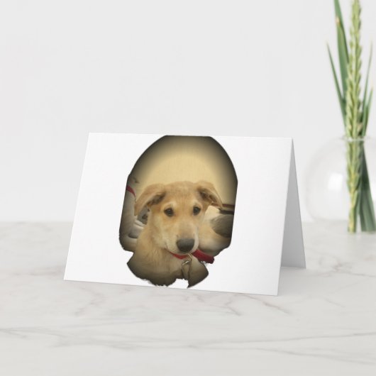 子犬の愛:人間の最高の友人 カード (正面)