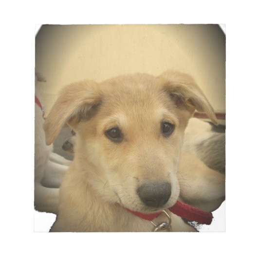 子犬の愛:人間の最高の友人 ノートパッド (正面)