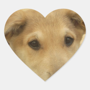 子犬の愛:人間の最高の友人 ハートシール