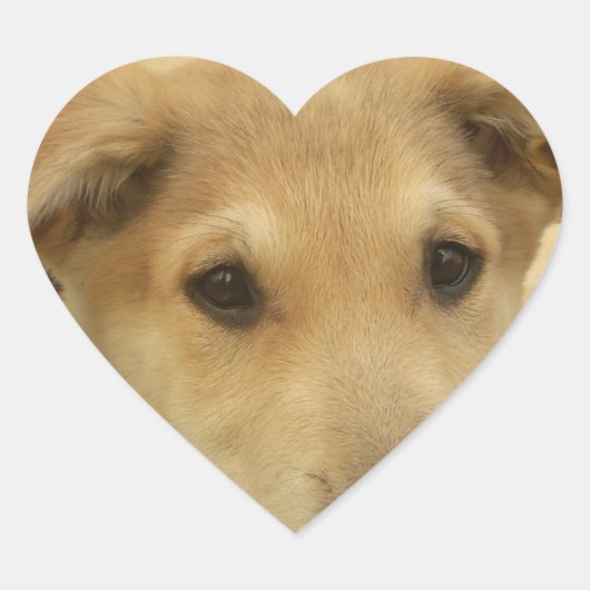 子犬の愛:人間の最高の友人 ハートシール (正面)