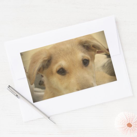 子犬の愛:人間の最高の友人 長方形シール (封筒)