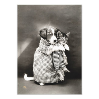 子犬の持ち込み小さな子猫 フォトプリント           