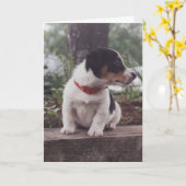 子犬の挨拶状 カード (黄色い花)
