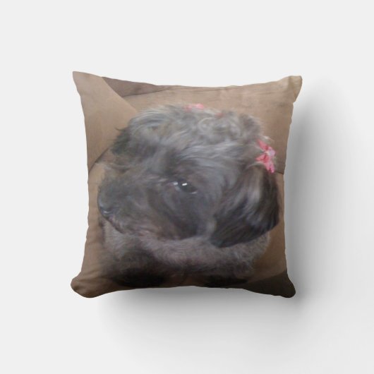 子犬の枕 クッション (正面)