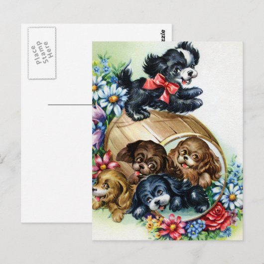 子犬の樽 ポストカード (正面/裏面)