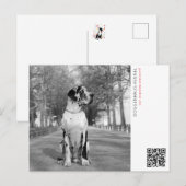 子犬の発表 ポストカード (正面/裏面)