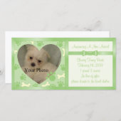 子犬の発表 案内状 (正面/裏面)