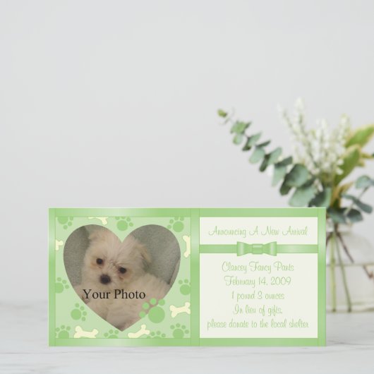 子犬の発表 案内状 (スタンド正面)