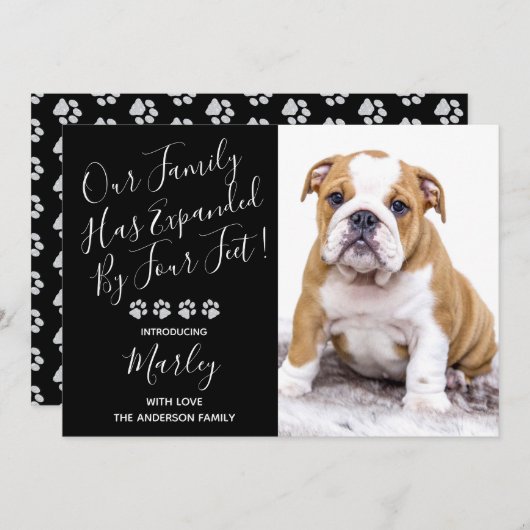 子犬の発表 – Black エレガント Newモダン Pet 招待状 (正面/裏面)