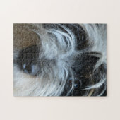 子犬の目のパズル ジグソーパズル (横)