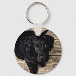 子犬の目 キーホルダー