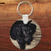 子犬の目 キーホルダー (正面)