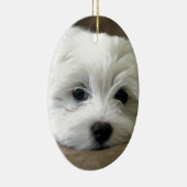 子犬の目 セラミックオーナメント (右)