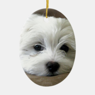 子犬の目 セラミックオーナメント