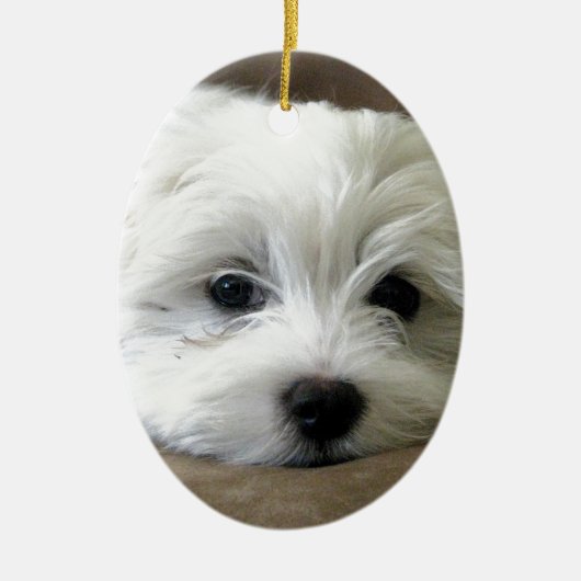 子犬の目 セラミックオーナメント (正面)