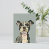 "子犬の目"ピットブルドッグの水の色絵を描の ポストカード (スタンド正面)