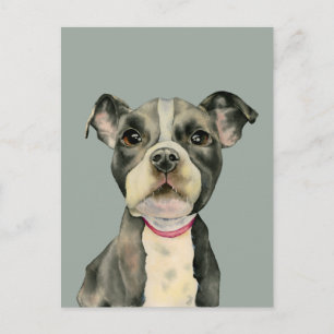 "子犬の目"ピットブルドッグの水の色絵を描の ポストカード