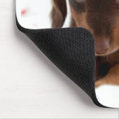 子犬の目 マウスパッド (コーナー)