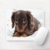 子犬の目 マウスパッド (マウス)