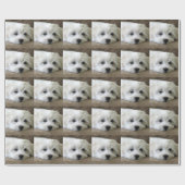子犬の目 ラッピングペーパー (フラット)