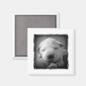 子犬の磁石 マグネット (正面/裏面)