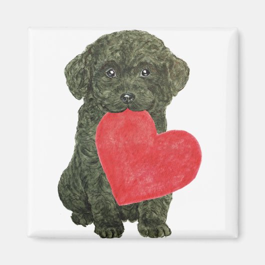 子犬の磁石 マグネット (正面)