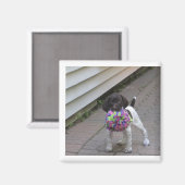 子犬の磁石 マグネット (正面/裏面)