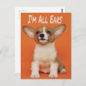 子犬の私はすべての耳は、かわいいミーム ポストカード (正面/裏面)