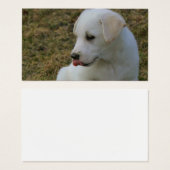 子犬の舌 (正面&裏面)