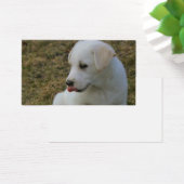 子犬の舌 (デスク)