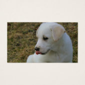 子犬の舌 (正面)