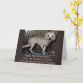 子犬の製造所の品種悲惨さカード カード (黄色い花)