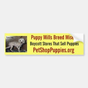 子犬の製造所の品種悲惨さ バンパーステッカー