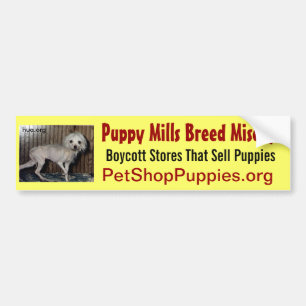 子犬の製造所の品種悲惨さ バンパーステッカー