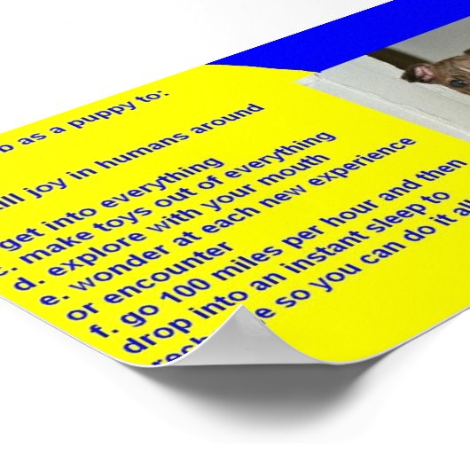 子犬の規則 ポスター (角)