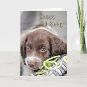 子犬の誕生日カード カード