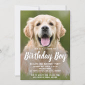 子犬の誕生日パーティーペットフォト招待状 招待状 (正面)